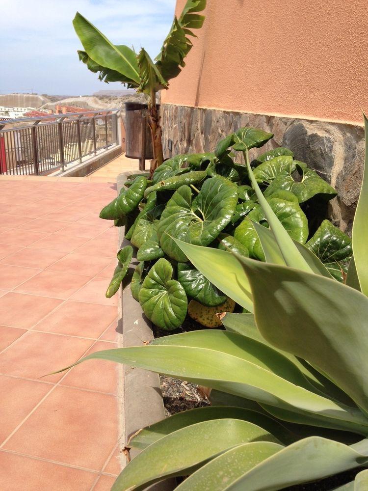 Апарт отель Balcon Del Mar Пуэрто Рико Экстерьер фото